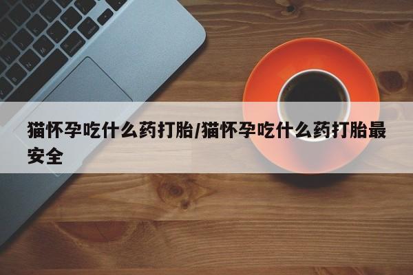 米非米索如何购买猫怀孕吃什么药打胎/猫怀孕吃什么药打胎最安全