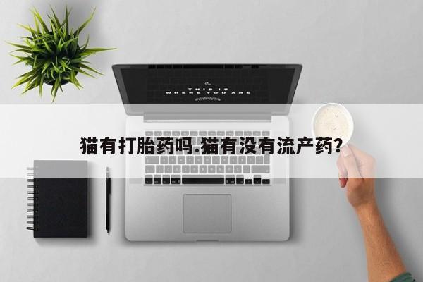 米非米索如何购买猫有打胎药吗.猫有没有流产药？