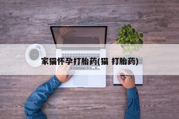 米非米索如何购买家猫怀孕打胎药(猫 打胎药)