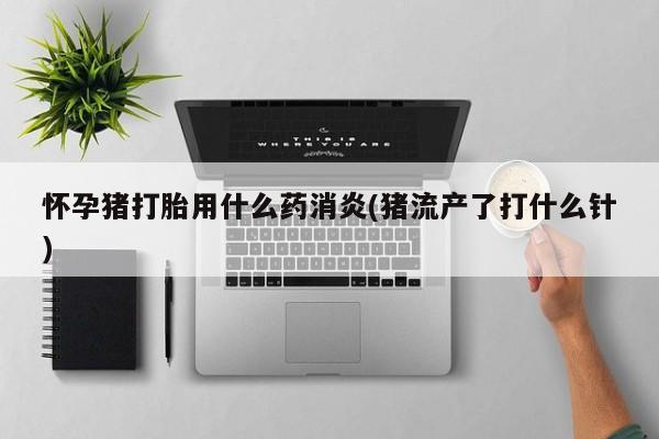 米非米索如何购买怀孕猪打胎用什么药消炎(猪流产了打什么针)